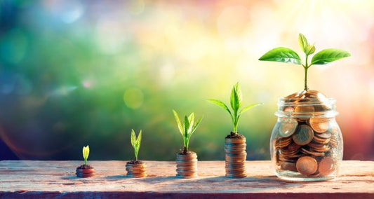 Portfolio tree growing in a jar of coins